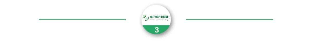 终端出货同比增长超22%彩色大尺寸化成未来趋势不朽情缘电子游戏权威发布 2024年电子纸全球(图4)
